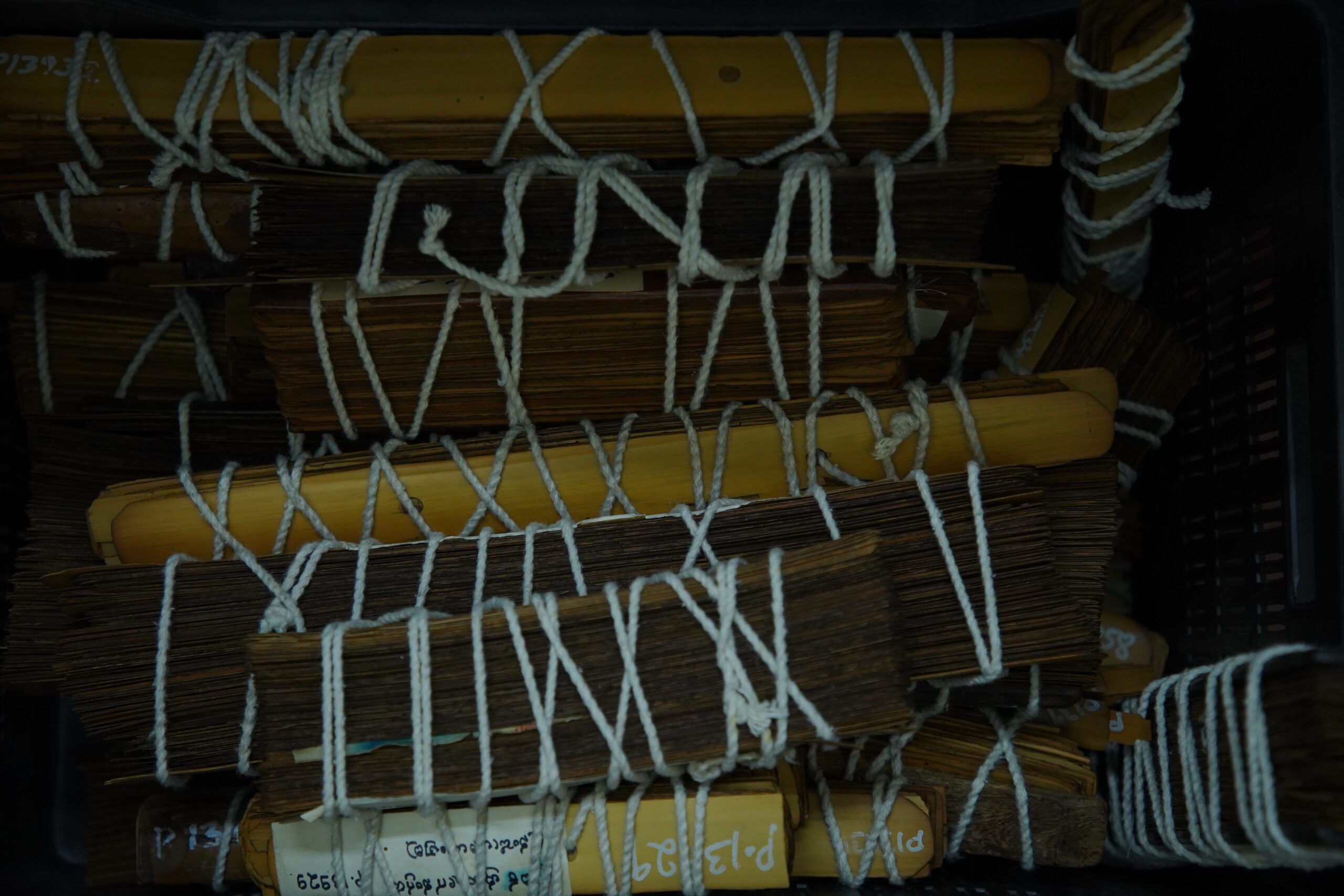 Palm Leaf Manuscripts — 12